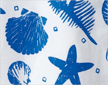 クリーンな印象の夏らしい爽やかな貝柄